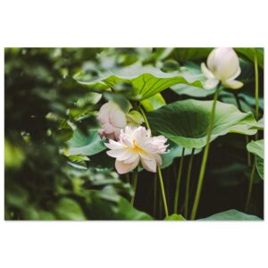 44c41300-38d2-420e-9040-bbadc6997755