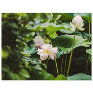 5f366eb2-1f63-4fad-b95b-b40ef0ffa41f