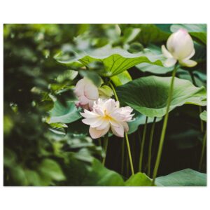 60c314c6-7410-4b60-9cc2-f12952d46739.jpg 60c314c6-7410-4b60-9cc2-f12952d46739