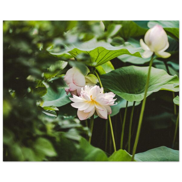 60c314c6-7410-4b60-9cc2-f12952d46739.jpg 60c314c6-7410-4b60-9cc2-f12952d46739