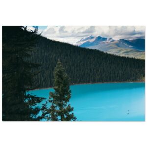 b1406788-c36f-4728-9d1d-2cd757fd74cd