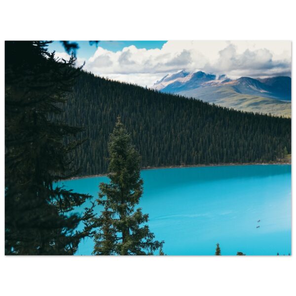 bbc8f0db-71eb-4b8e-8bfd-93cf04cfabd6.jpg bbc8f0db-71eb-4b8e-8bfd-93cf04cfabd6