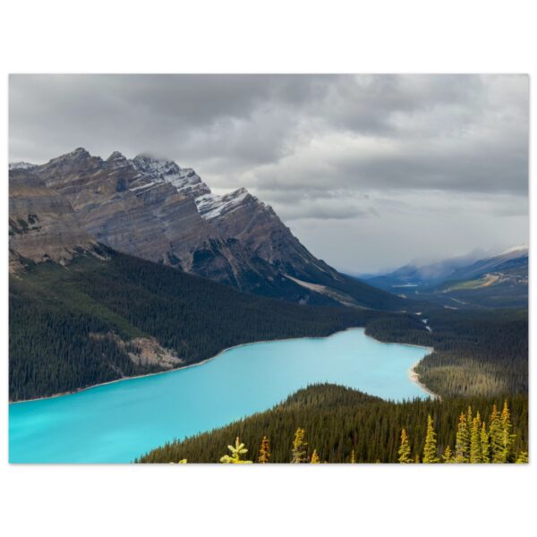 e44efe2d-8157-40e8-815d-2e088a0b3ed8.jpg e44efe2d-8157-40e8-815d-2e088a0b3ed8