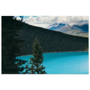 fee3cc68-9f02-4a3b-890f-089b468800ea.jpg fee3cc68-9f02-4a3b-890f-089b468800ea