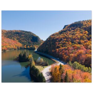 271689d0-49bb-4aff-86ec-d8572878b11d.jpg 271689d0-49bb-4aff-86ec-d8572878b11d